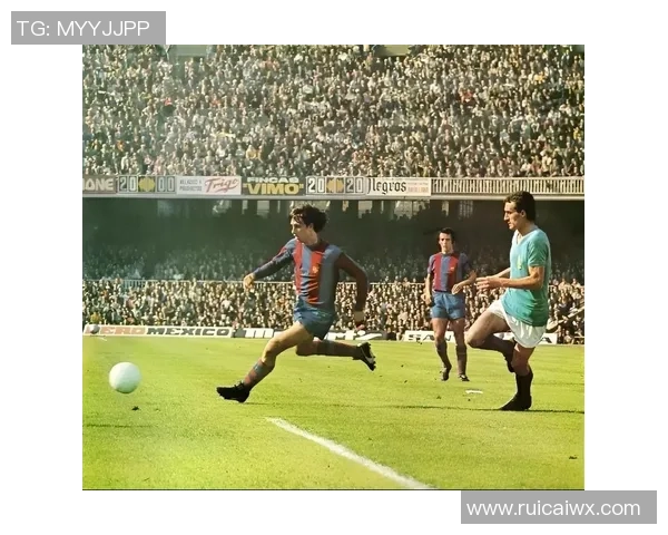 我心中的足球巨星们与他们的传奇故事分享